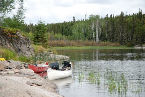 black bear island lake
